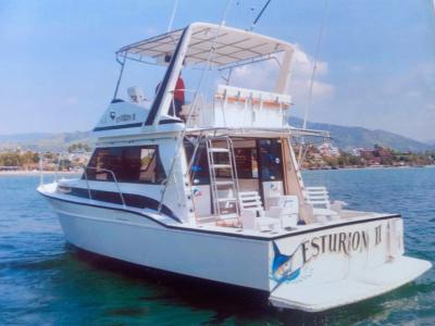Esturion II 42ft Sport fishing Boat - Ixtapa Zihuatanejo, Mexico